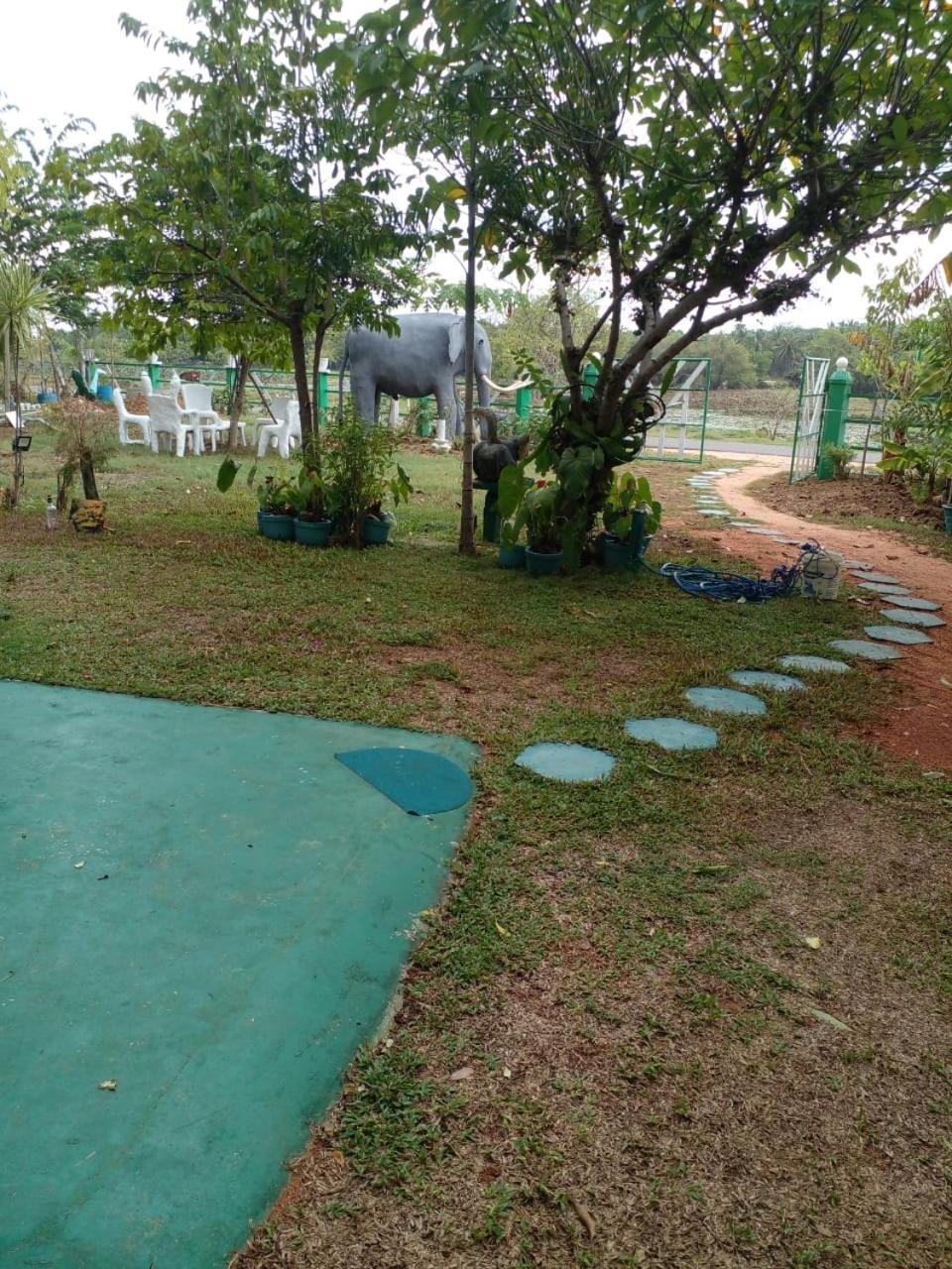 Lake Edge Dambulla Exterior photo